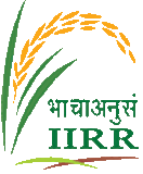 IIRR logo